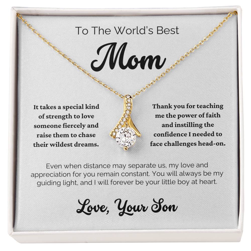 To The World's Best Mom - It Takes a Special Kind of Love